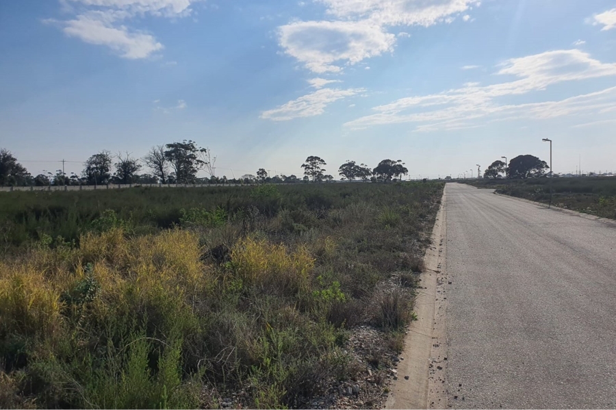 0 Bedroom Property for Sale in Greenbushes Eastern Cape